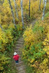 Walk along the trail in Spruce River Highlands. Prince Albert National Park, Saskatche