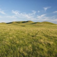 Saskatchewan election – vote for the grasslands