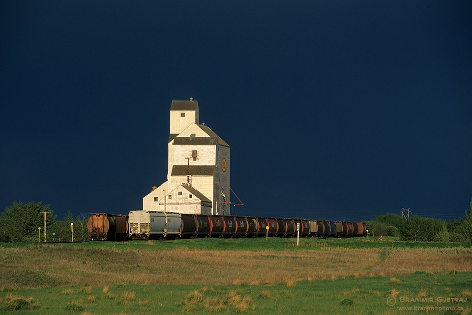 Grain elevator and freight train after a storm. Bulyea, Saskatch