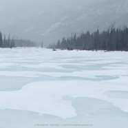 Winter photography in Kootenay Plains, Alberta