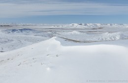 Winter in Grasslands National Park