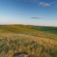 BirdWatch Canada cover and article about the PFRA pastures