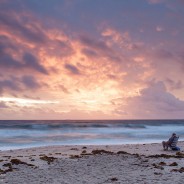 Photographing in Florida over the Christmas holidays