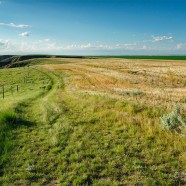 Illustrated talk: Saskatchewan Grasslands – a Vanishing Landscape?