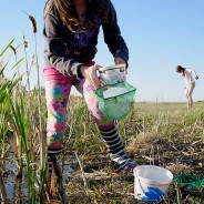 Wild about Saskatoon – NatureCity Festival in pictures