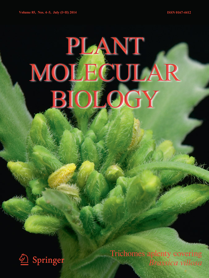 plant molecular biology research topics