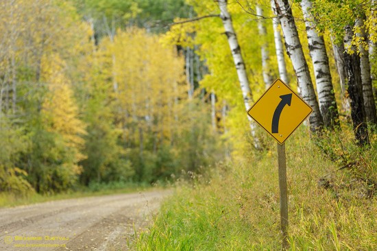 Traffic sign along the Narrows Road at peak of autumn colours. Prince Albert National Park, Saskatchewan