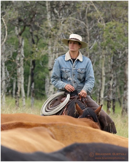 Cowhand Sabrina (Sam) Beckman keeps a watchful eye on the cattle herd
