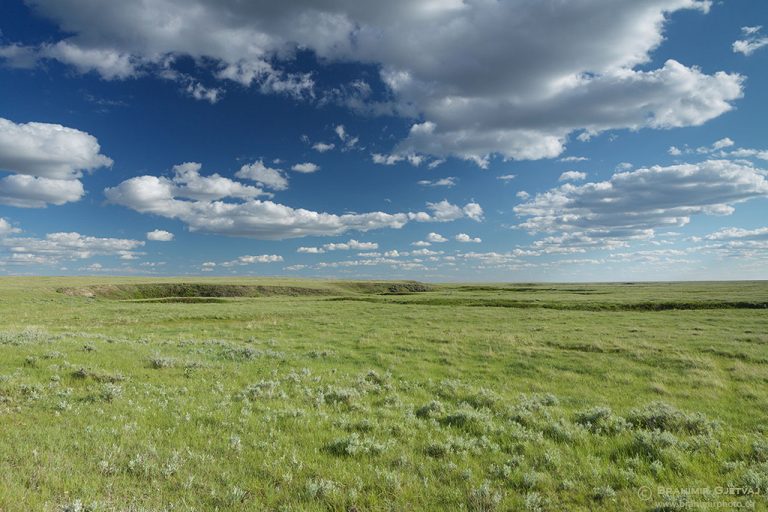 Three large community pastures in SW Saskatchewan closer to protection ...