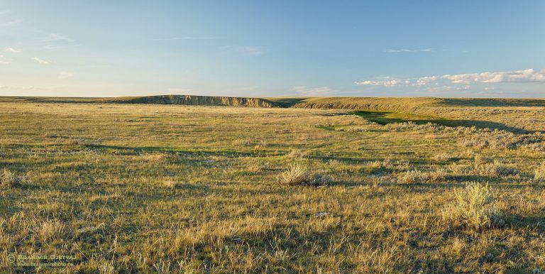 Three large community pastures in SW Saskatchewan closer to protection ...