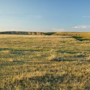 Three large community pastures in SW Saskatchewan closer to protection