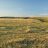 Three large community pastures in SW Saskatchewan closer to protection